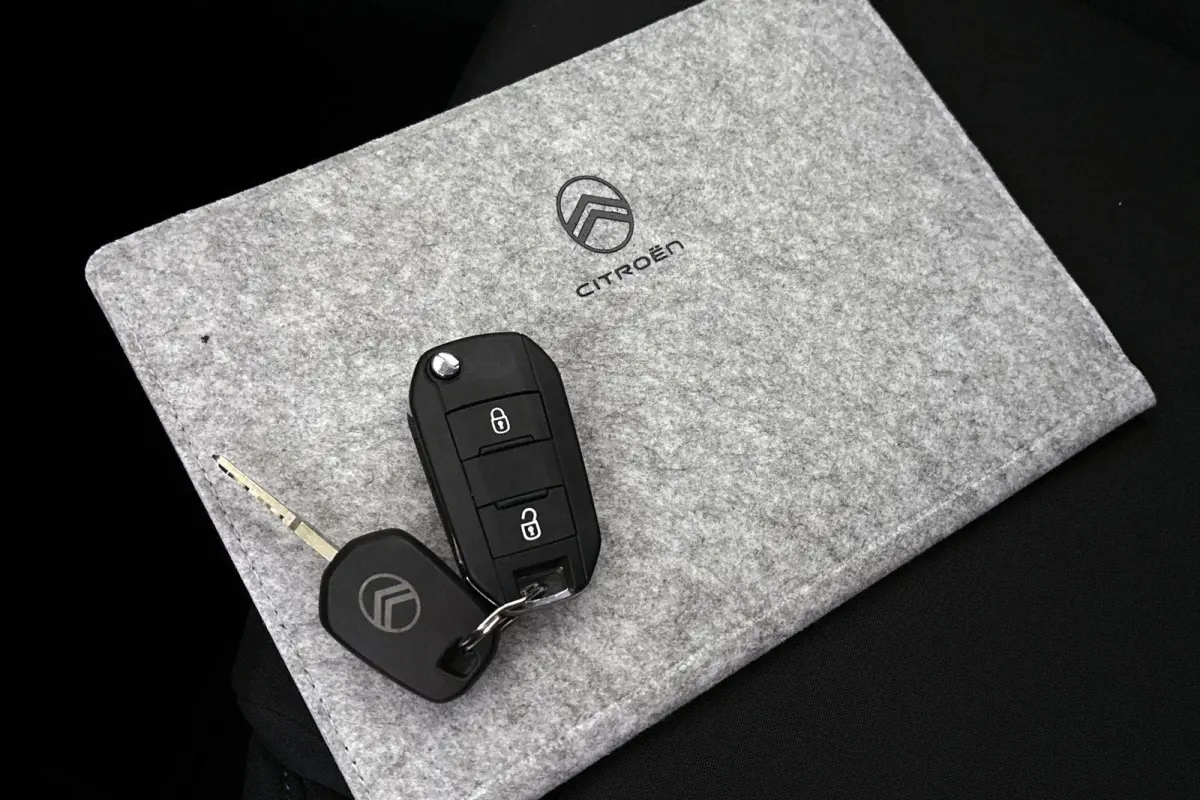 You 113pk 44 kWh SOH 100% Airco Cruise Control