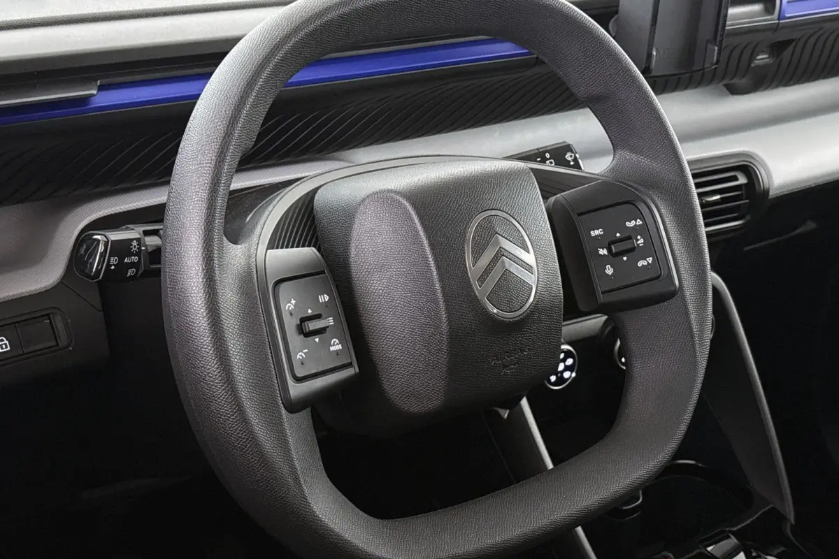 You 113pk 44 kWh SOH 100% Airco Cruise Control
