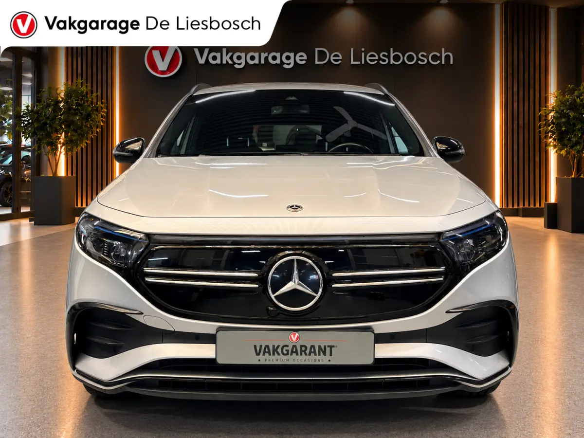 250 AMG Line 67 kWh/navi/camera/stoelverw/wide screen/cruisec/