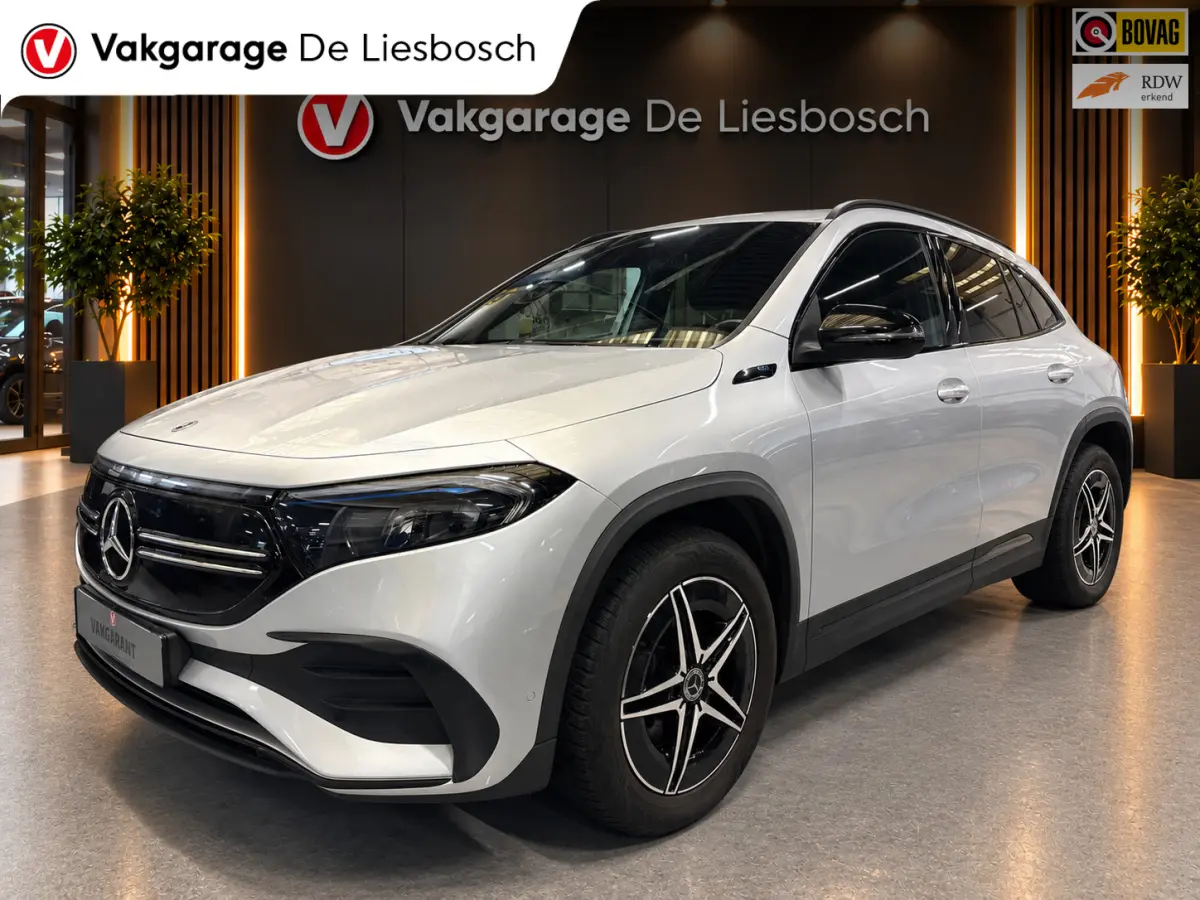 250 AMG Line 67 kWh/navi/camera/stoelverw/wide screen/cruisec/