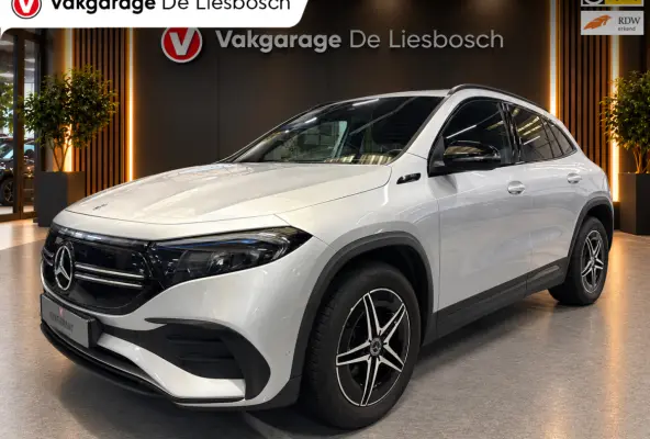 250 AMG Line 67 kWh/navi/camera/stoelverw/wide screen/cruisec/