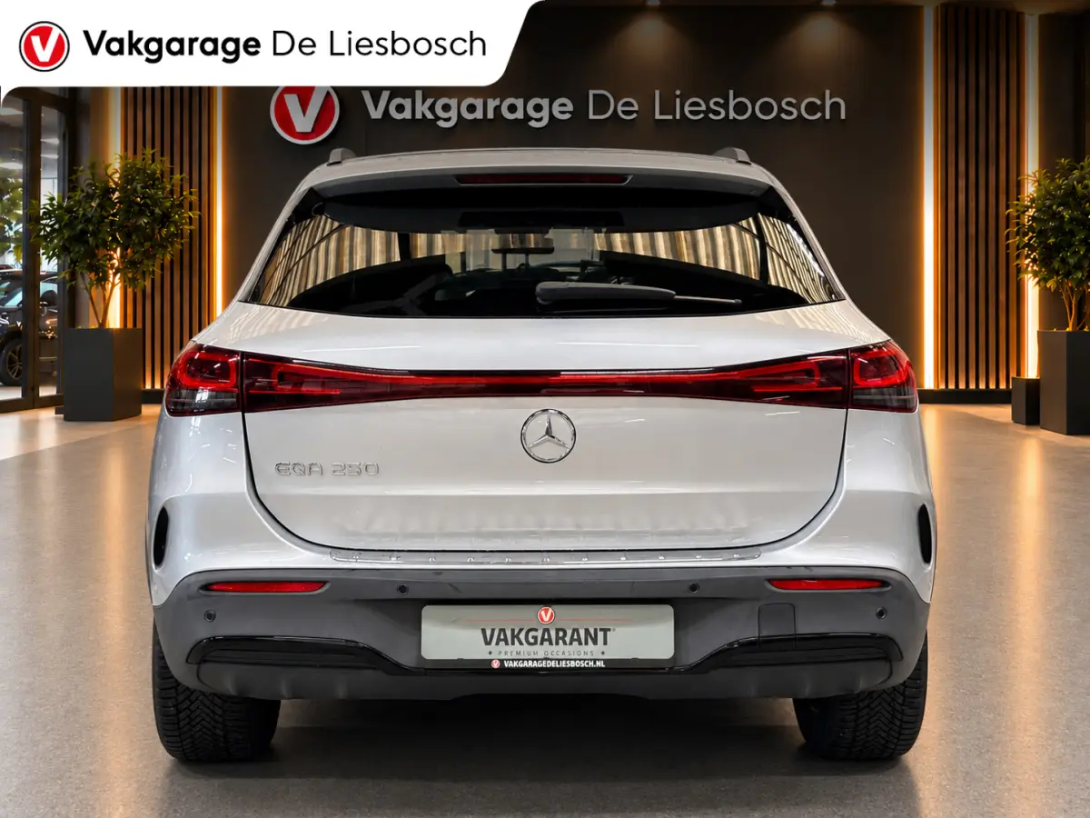 250 AMG Line 67 kWh/navi/camera/stoelverw/wide screen/cruisec/
