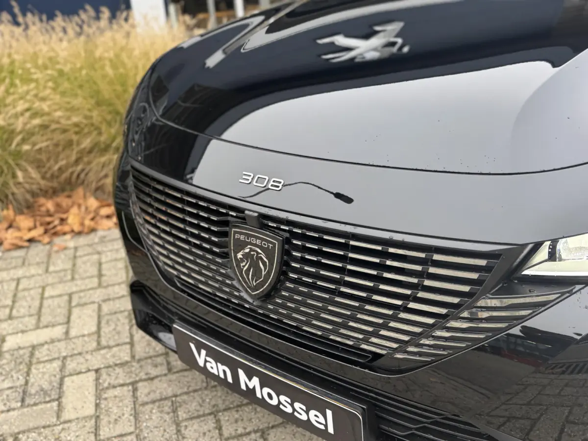 Allure EV 54 kWh l Camera achter | Draadloze Apple Carplay/Android Auto | Stoelverwarming