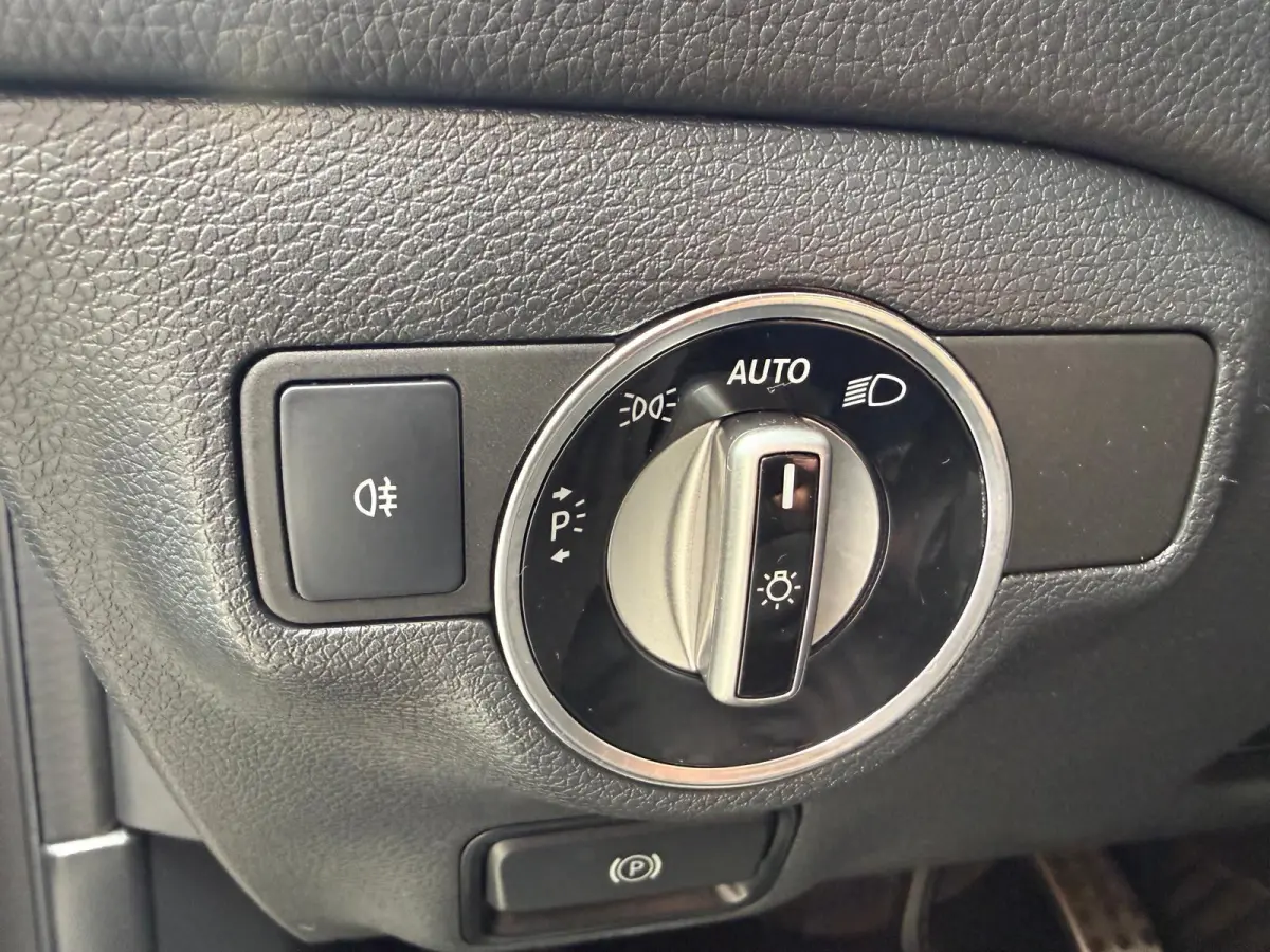 250 Premium Plus AUTOMAAT | PANODAK | TREKHAAK | LED | DAB | CARPLAY |