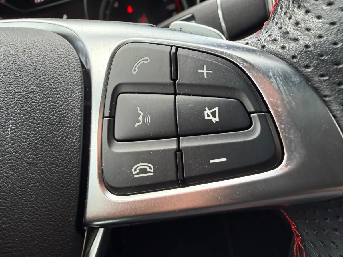 250 Premium Plus AUTOMAAT | PANODAK | TREKHAAK | LED | DAB | CARPLAY |