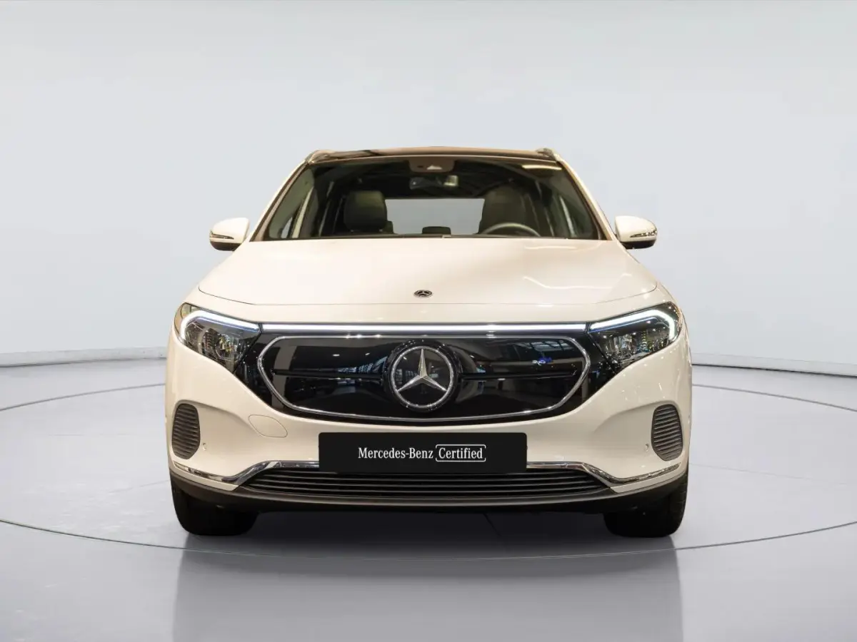 250 Business Solution Luxury 67 kWh | Panorama dak