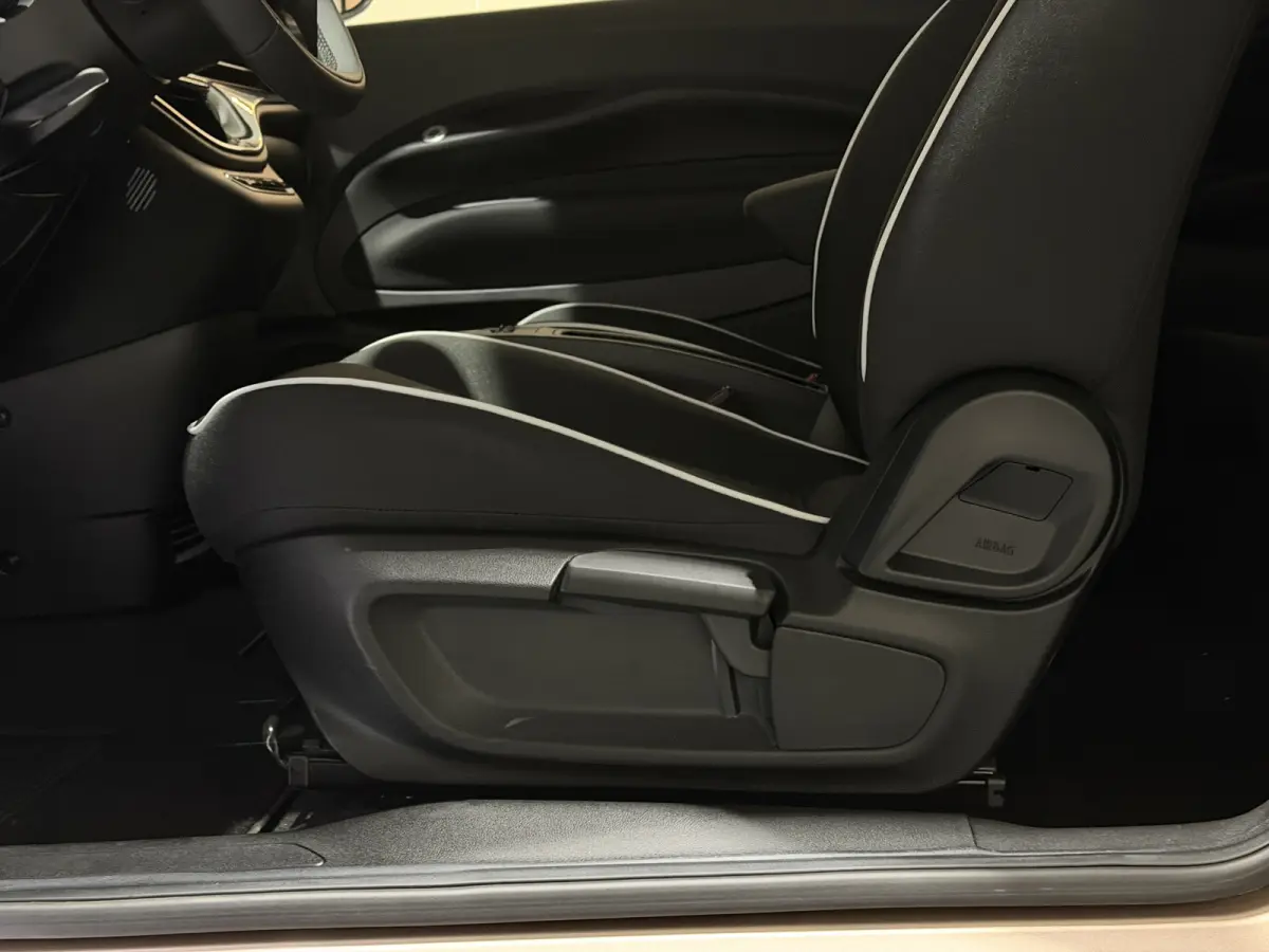 42 kWh | Apple CarPlay - Android Auto | Stoelen verwarmd | Dodehoek detectie Rijklaar