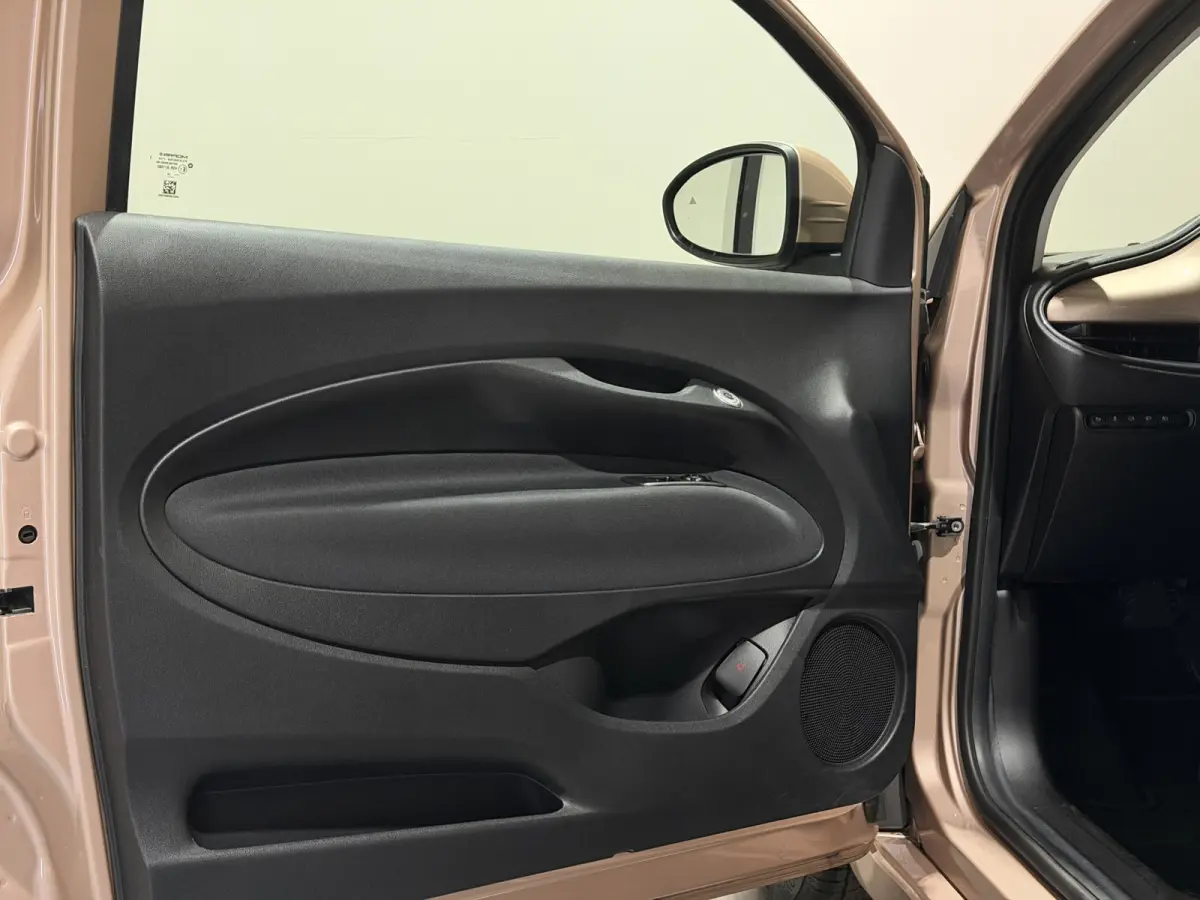 42 kWh | Apple CarPlay - Android Auto | Stoelen verwarmd | Dodehoek detectie Rijklaar