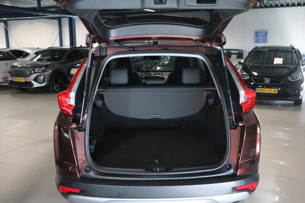 2.0 Hybrid Lifestyle 12 MAANDEN GARANTIE/ CARPLAY/ LAGE KM'S