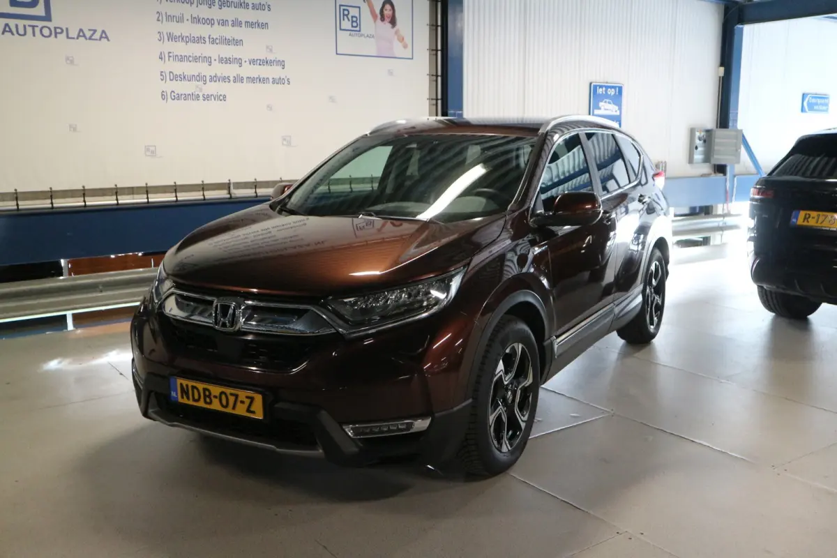 2.0 Hybrid Lifestyle 12 MAANDEN GARANTIE/ CARPLAY/ LAGE KM'S