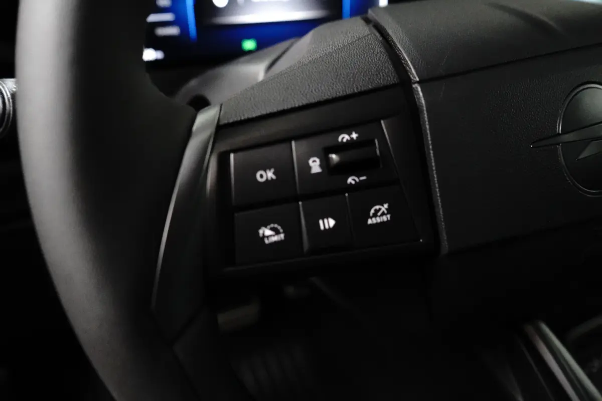 GS 54 kWh | Fase 3 laden | Navigatie | Camera | Stuurverwarming | Apple carplay | Bluetooth | 12.650km |