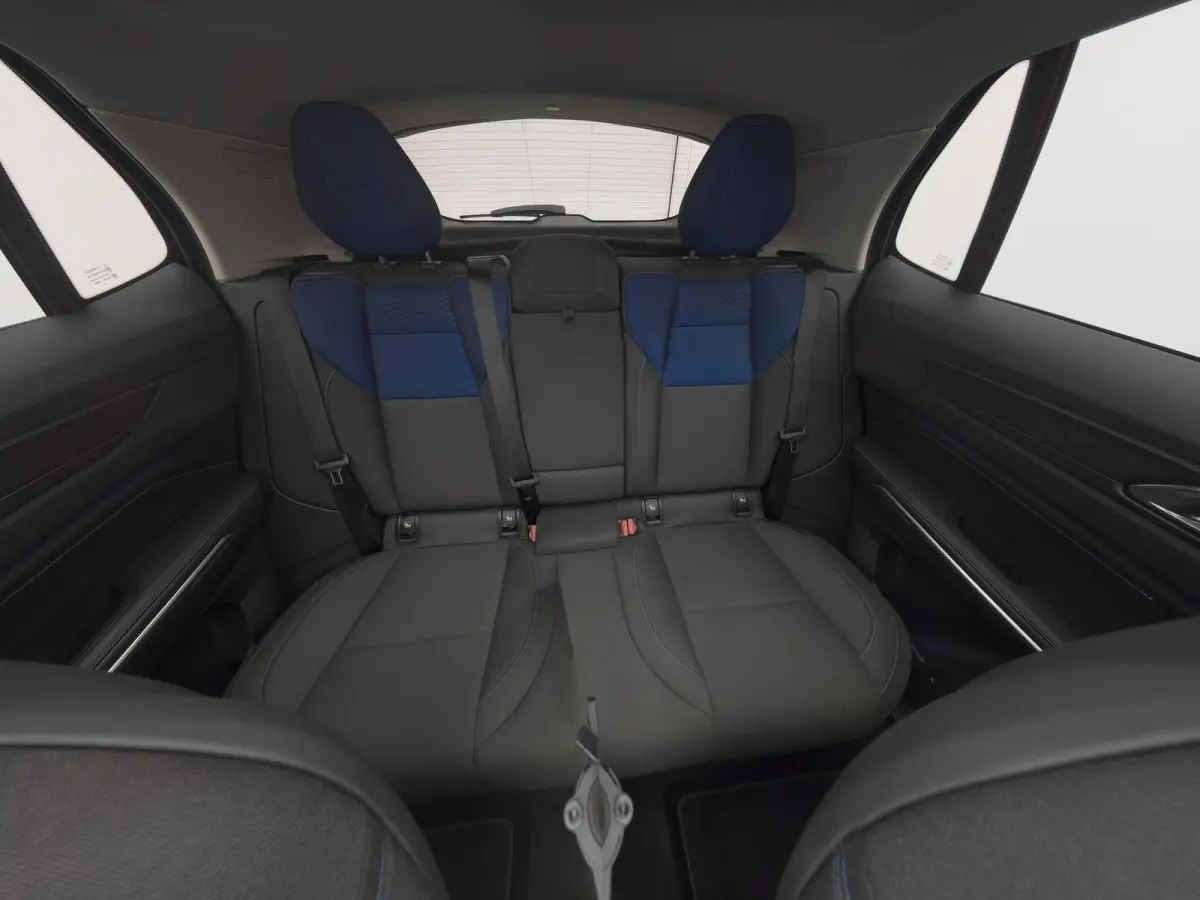 1.5 Plug-in Hybrid | 360° | BLACK | NLD AUTO