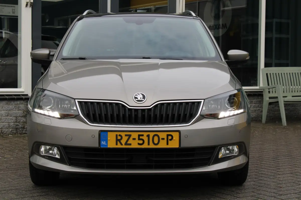 1.0 TSI Style Business|DAB|Glazen dak|PDC|Camera|Stoelverwarming|Climate|