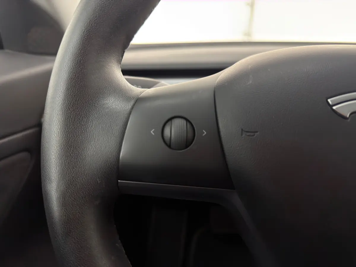 Long Range AWD 75 kWh|LEDER|NAP|INRUIL MOGELIJK|