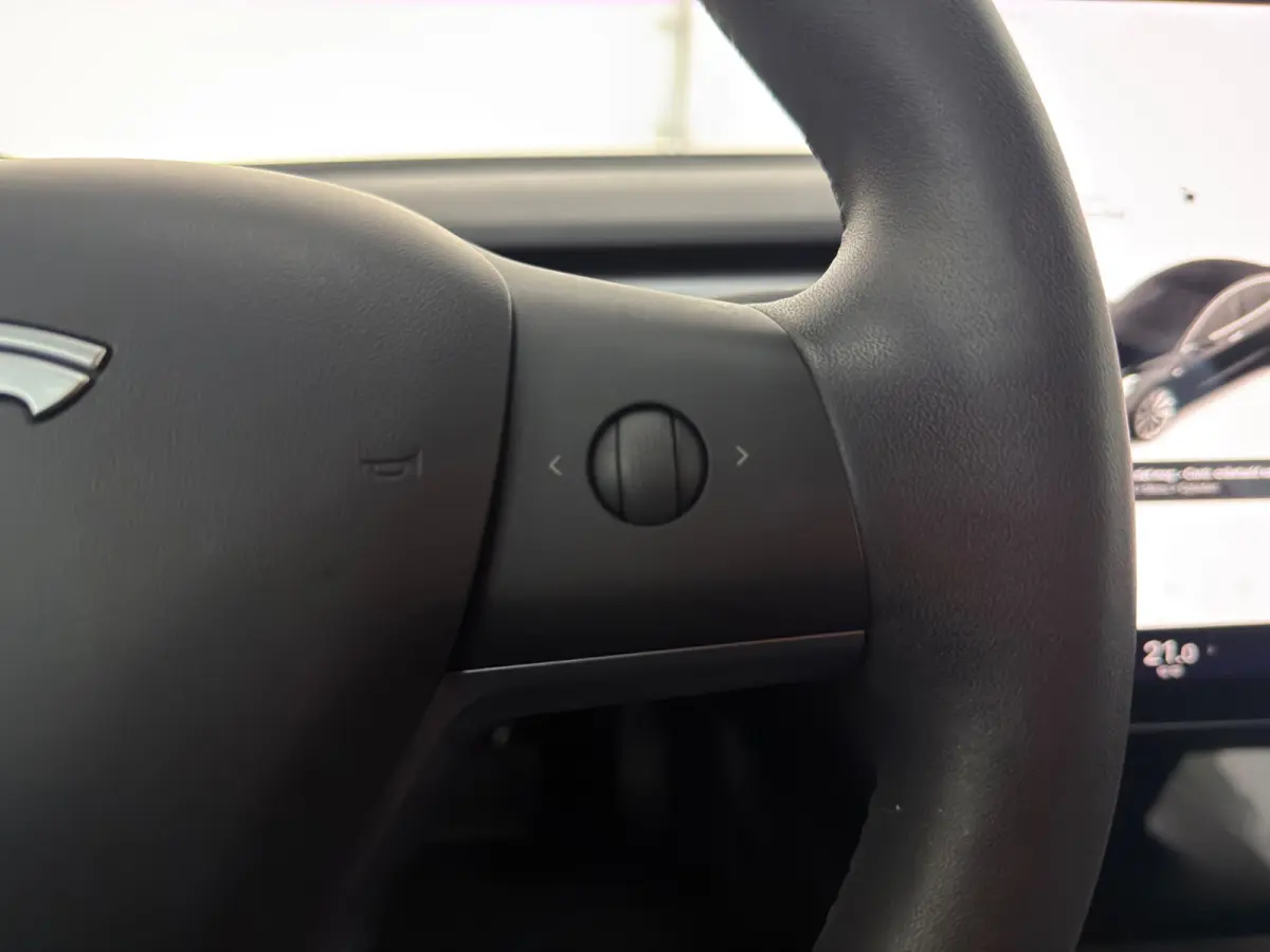 Long Range AWD 75 kWh|LEDER|NAP|INRUIL MOGELIJK|