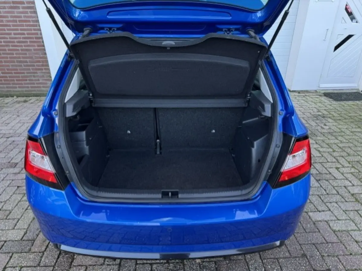 1.0 TSI Monte Carlo -LED-Stoelverwarming-Climate-Panorama dak - Sportstoelen - Parkeersensoren - 12 maanden garantie