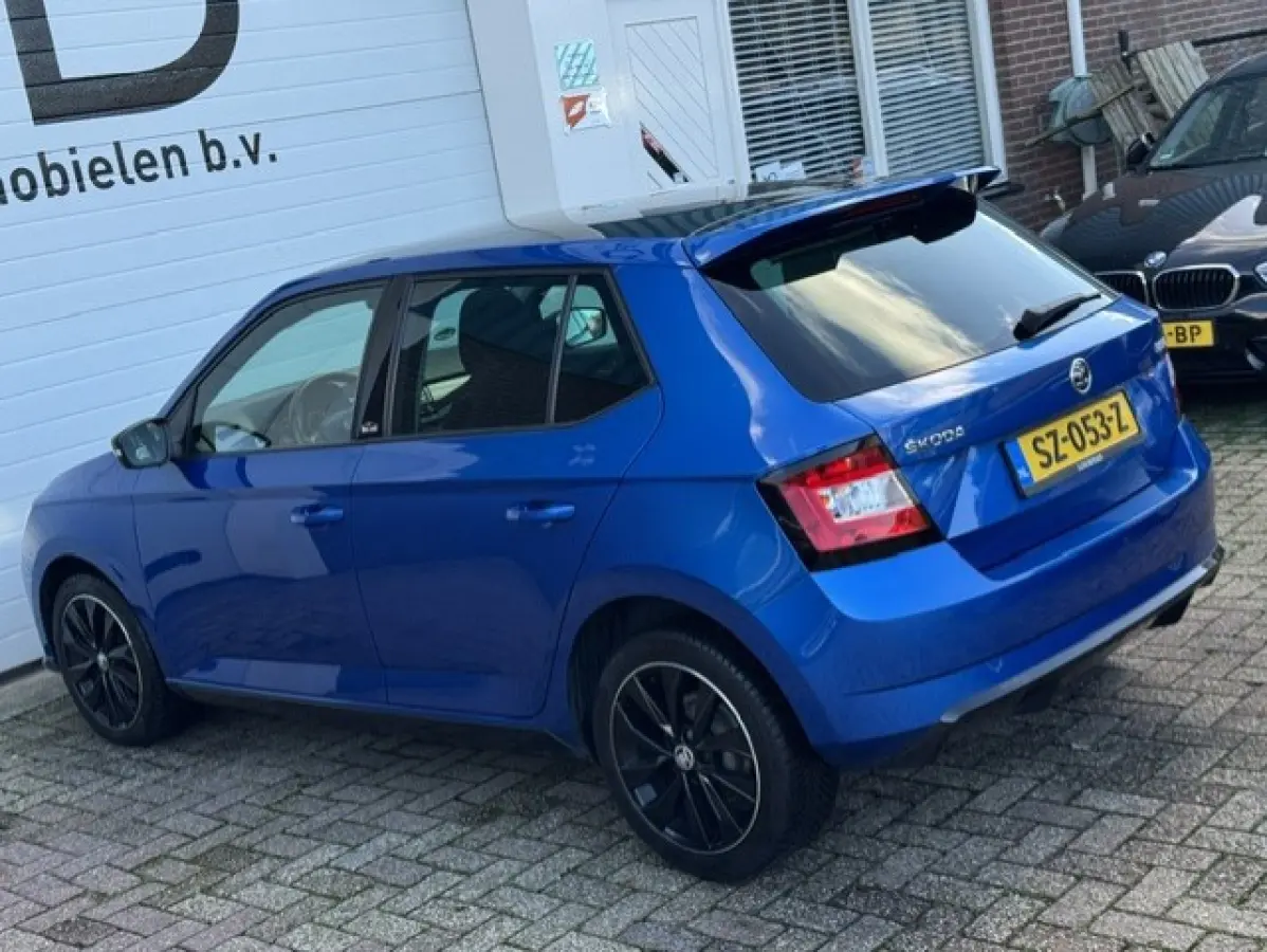1.0 TSI Monte Carlo -LED-Stoelverwarming-Climate-Panorama dak - Sportstoelen - Parkeersensoren - 12 maanden garantie