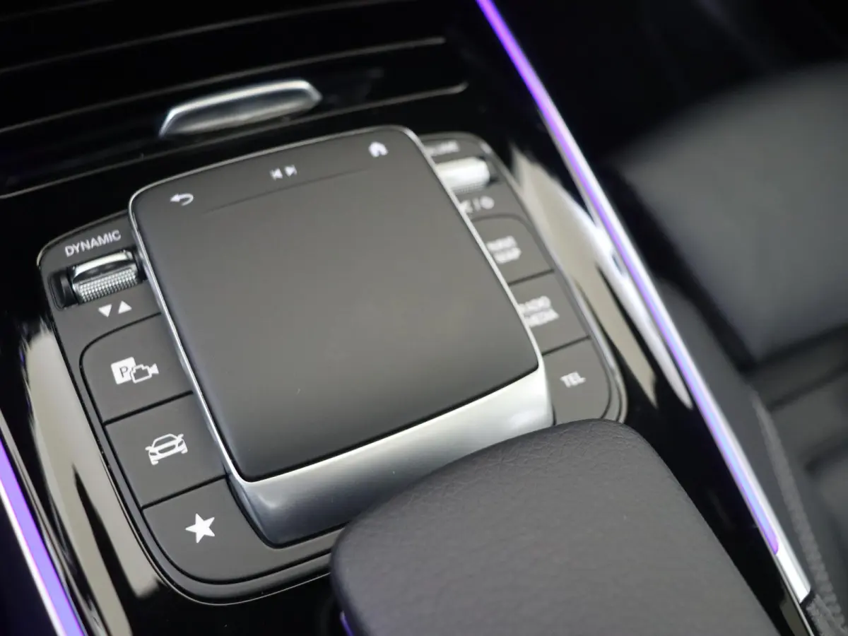 250 4MATIC Premium Plus /Panoramadak /Burmester /Memory stoelen /360 Camera /Leder