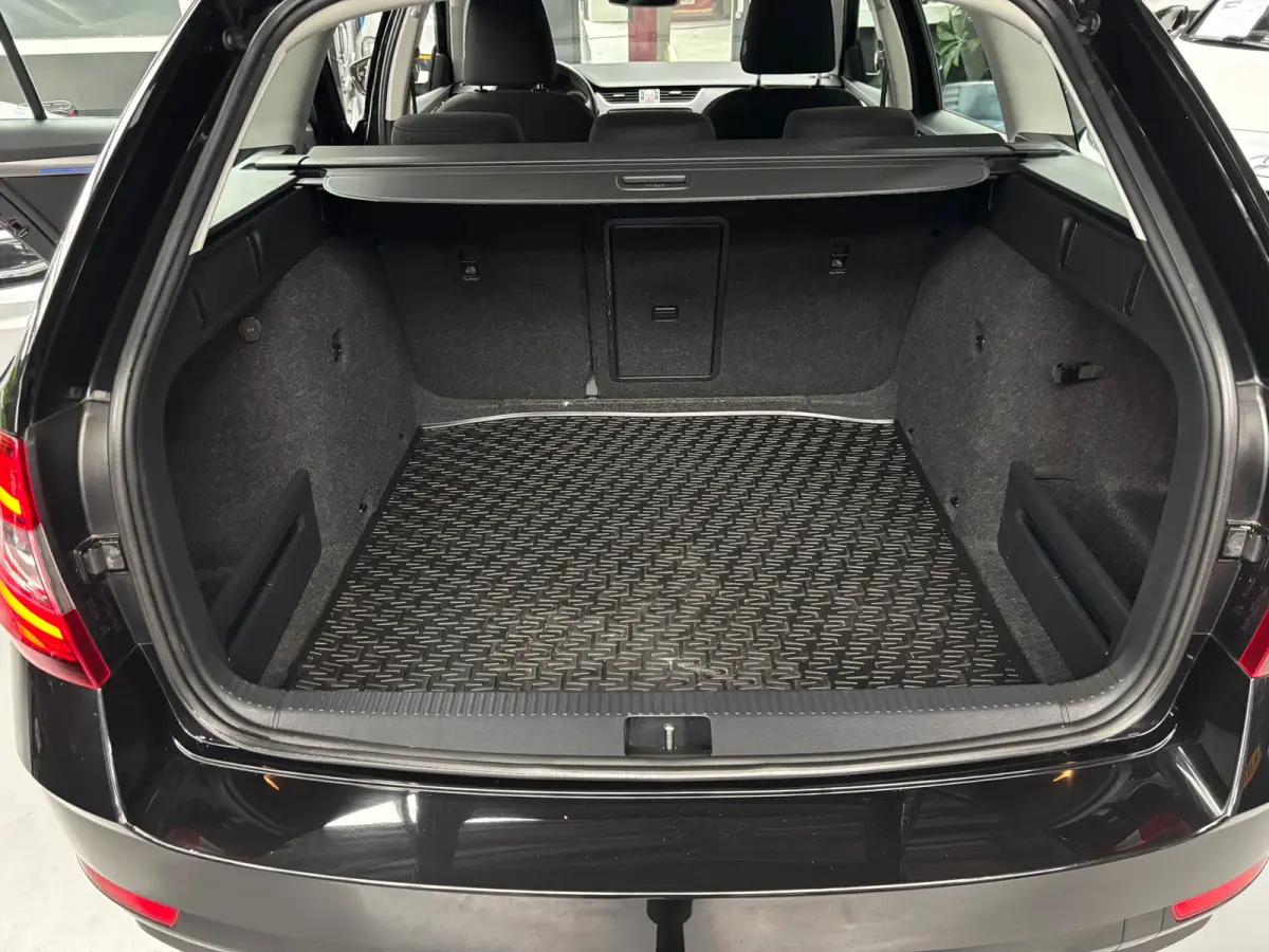 1.5 TSI Greentech Business Edition Plus / Carplay