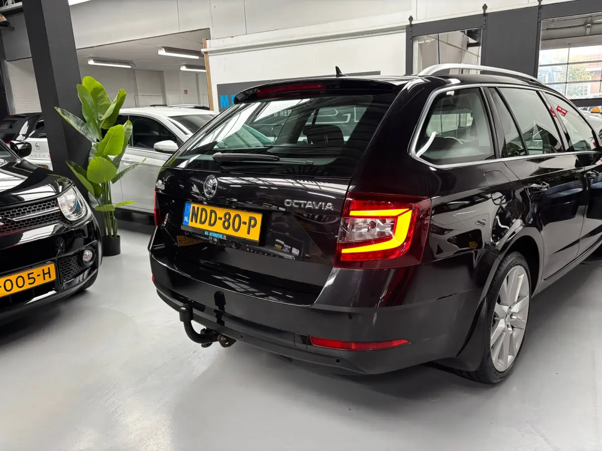 1.5 TSI Greentech Business Edition Plus / Carplay