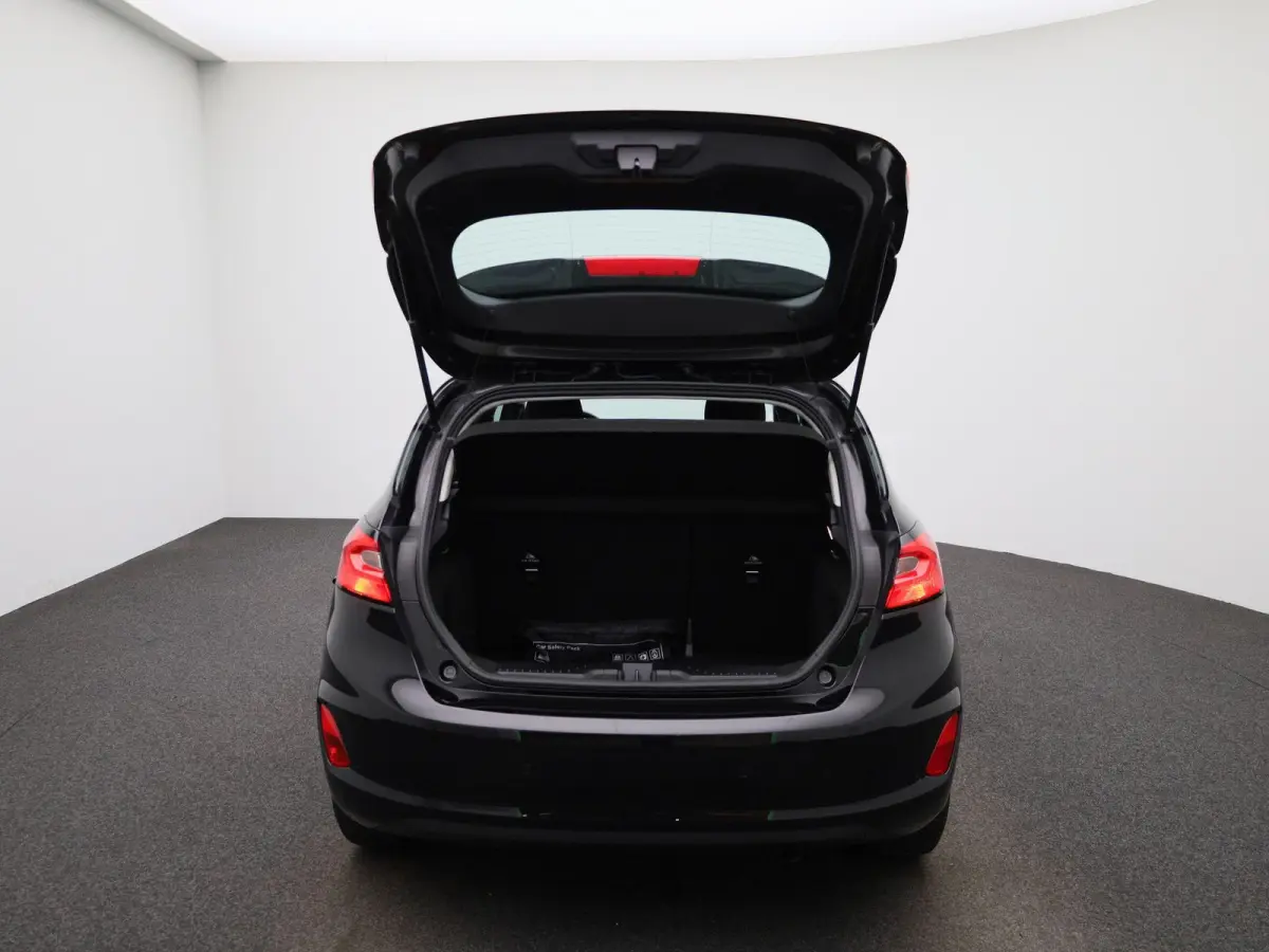 1.0 EcoBoost Titanium | WORDT VERWACHT |