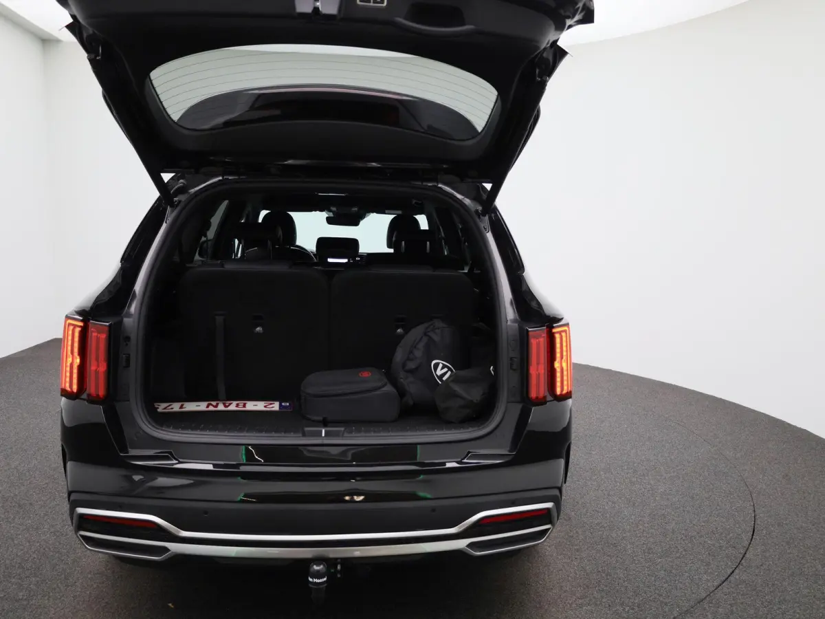 Pulse 1.6 PHEV 4WD AT | 7-ZITTER | TREKHAAK | LEDER | STOELVERWARMING | STOELKOELING | ELEKTRISCHE STOELEN | ELEKTRISCHE ACHTERKLEP | ACHTERUITRIJCAMERA |