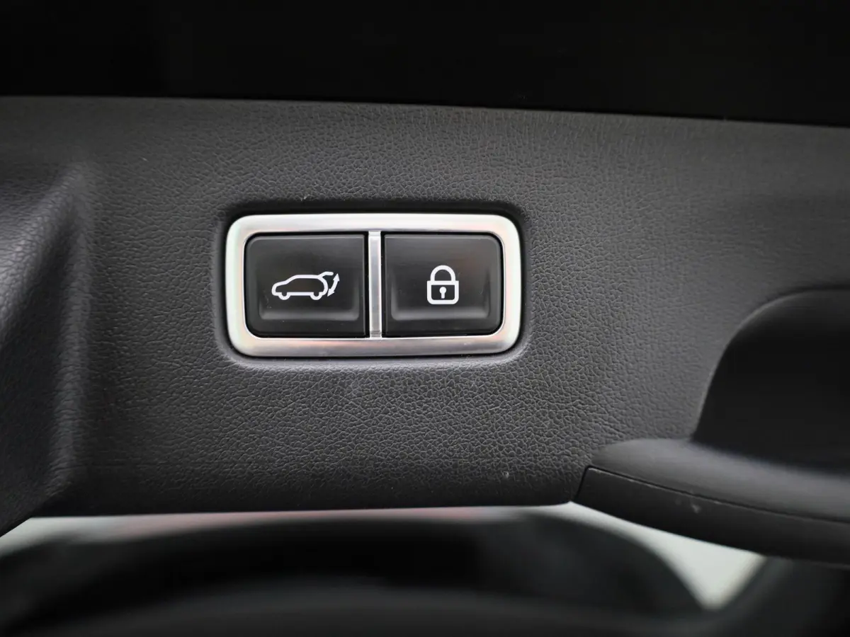 Pulse 1.6 PHEV 4WD AT | 7-ZITTER | TREKHAAK | LEDER | STOELVERWARMING | STOELKOELING | ELEKTRISCHE STOELEN | ELEKTRISCHE ACHTERKLEP | ACHTERUITRIJCAMERA |