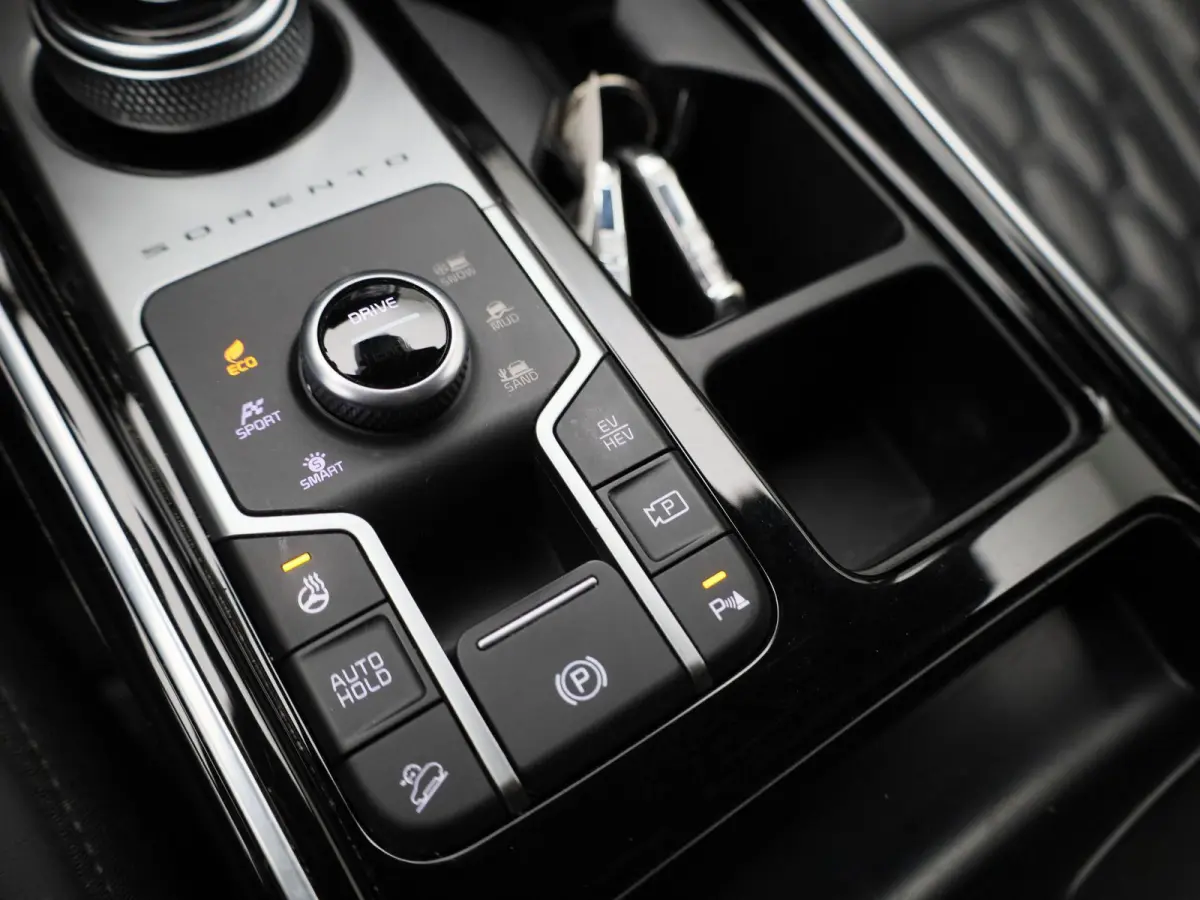 Pulse 1.6 PHEV 4WD AT | 7-ZITTER | TREKHAAK | LEDER | STOELVERWARMING | STOELKOELING | ELEKTRISCHE STOELEN | ELEKTRISCHE ACHTERKLEP | ACHTERUITRIJCAMERA |