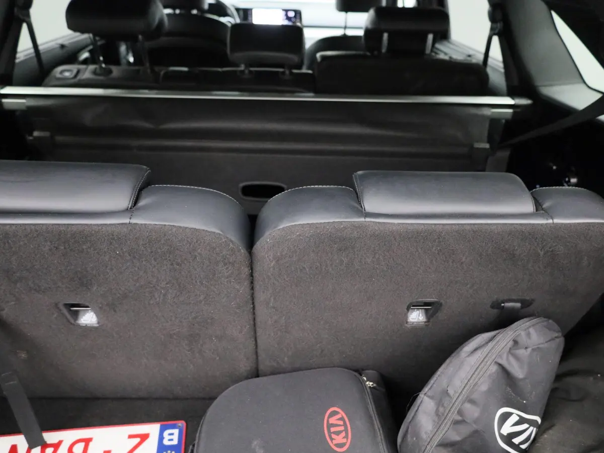 Pulse 1.6 PHEV 4WD AT | 7-ZITTER | TREKHAAK | LEDER | STOELVERWARMING | STOELKOELING | ELEKTRISCHE STOELEN | ELEKTRISCHE ACHTERKLEP | ACHTERUITRIJCAMERA |