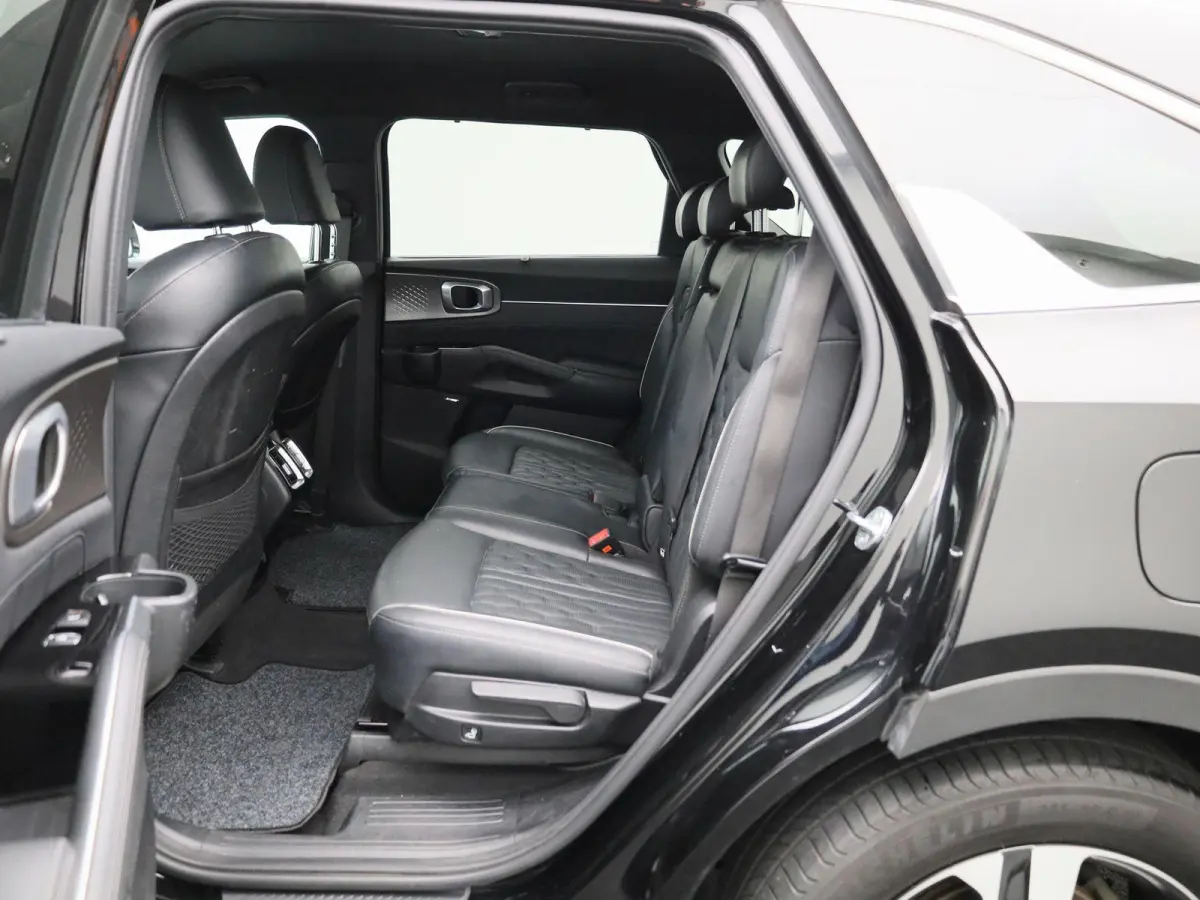 Pulse 1.6 PHEV 4WD AT | 7-ZITTER | TREKHAAK | LEDER | STOELVERWARMING | STOELKOELING | ELEKTRISCHE STOELEN | ELEKTRISCHE ACHTERKLEP | ACHTERUITRIJCAMERA |