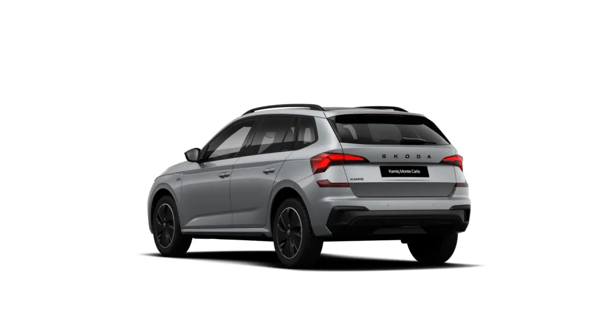 Monte Carlo | Achteruitrijcamera | Cruise control met speedlimiter | Driver Activity Assistant, vermoeidheid waarschuwingssysteem
