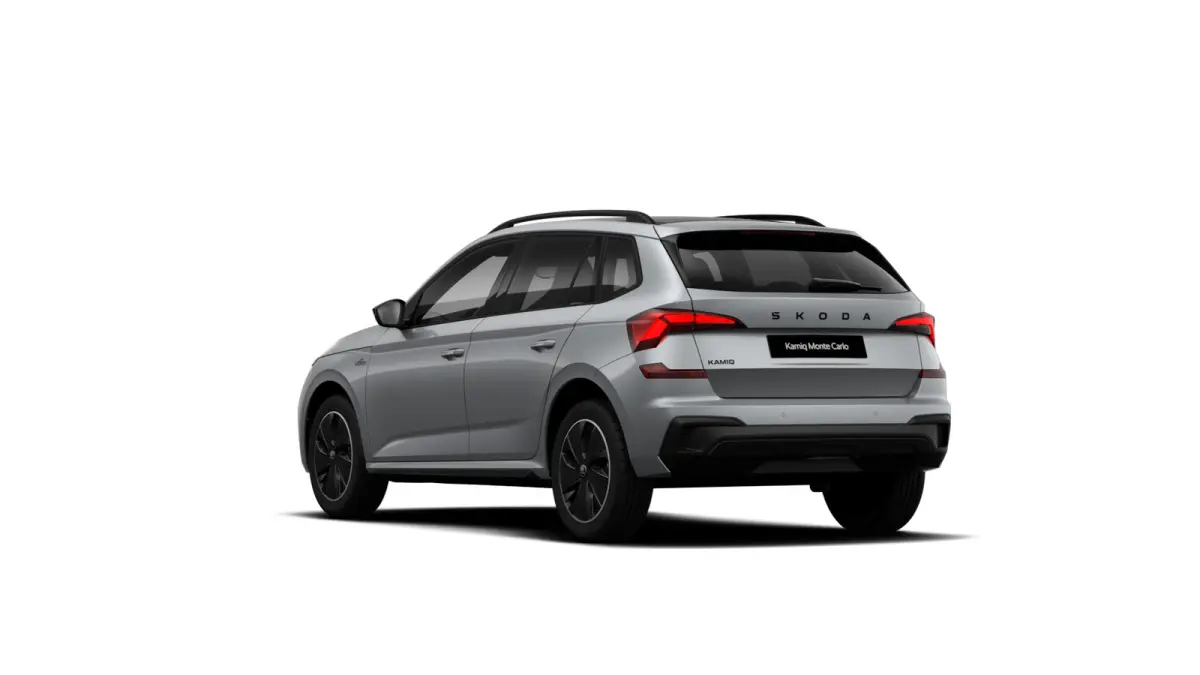 Monte Carlo | Achteruitrijcamera | Cruise control met speedlimiter | Driver Activity Assistant, vermoeidheid waarschuwingssysteem
