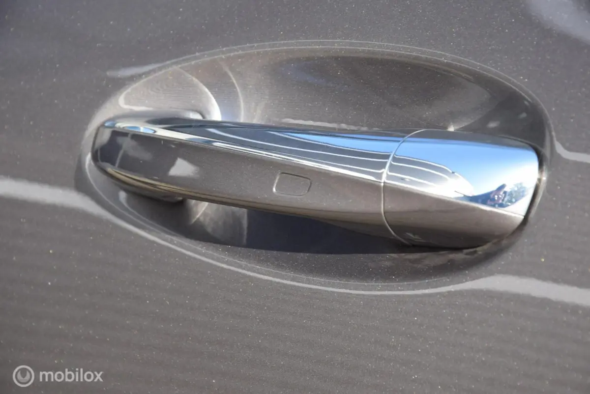 250 Business Solution Luxury 67 kWh SOH 98% Pano Keyless