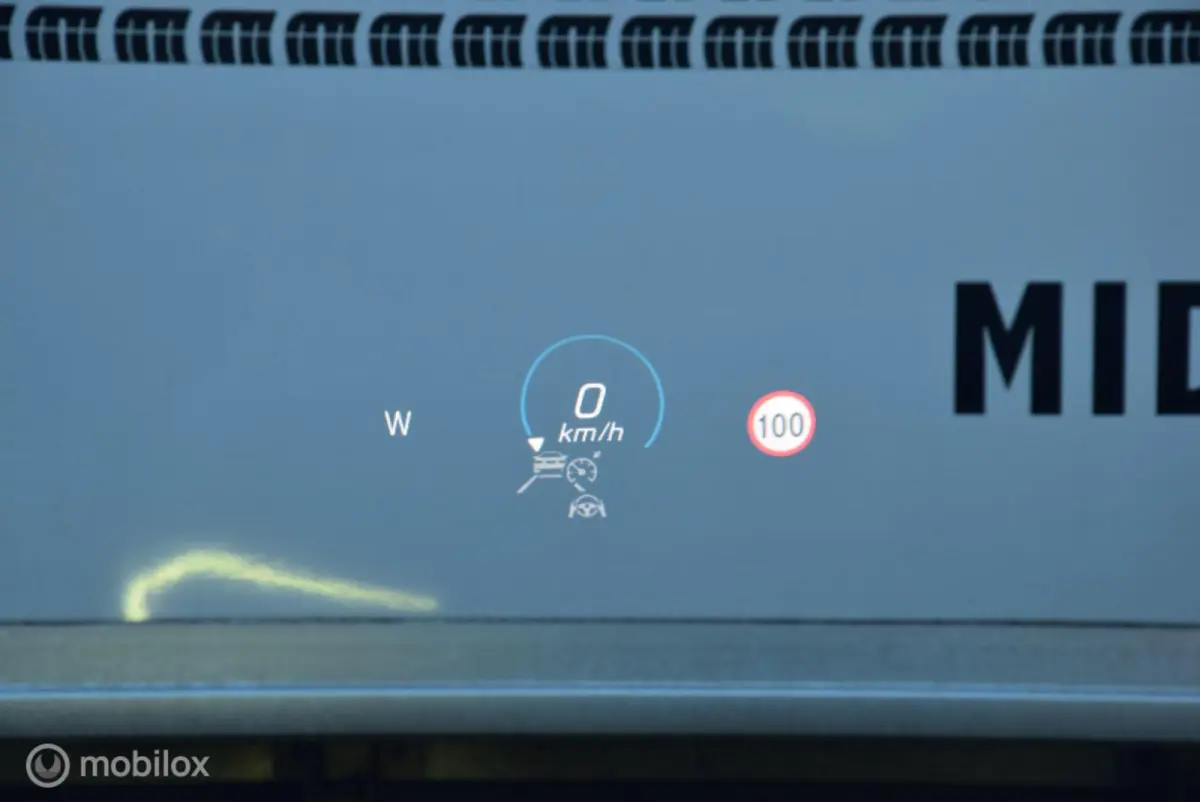 250 Business Solution Luxury 67 kWh SOH 98% Pano Keyless