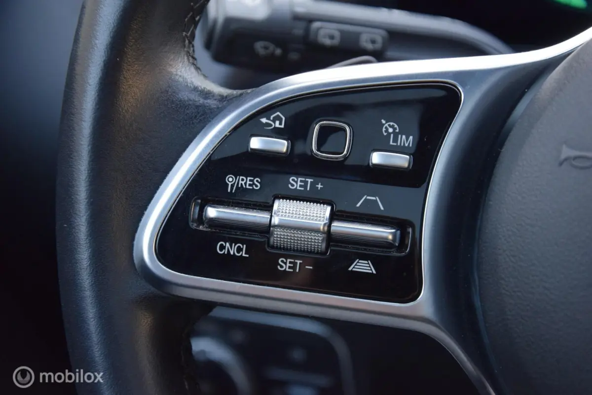 250 Business Solution Luxury 67 kWh SOH 98% Pano Keyless