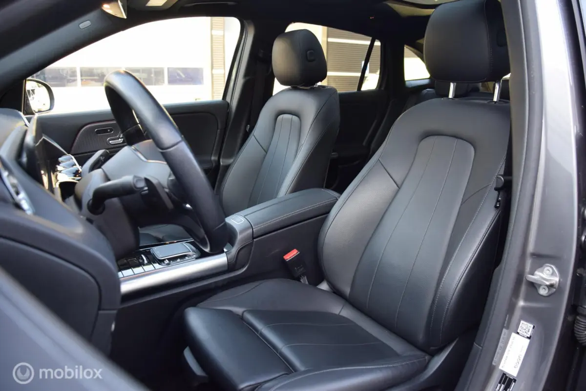 250 Business Solution Luxury 67 kWh SOH 98% Pano Keyless