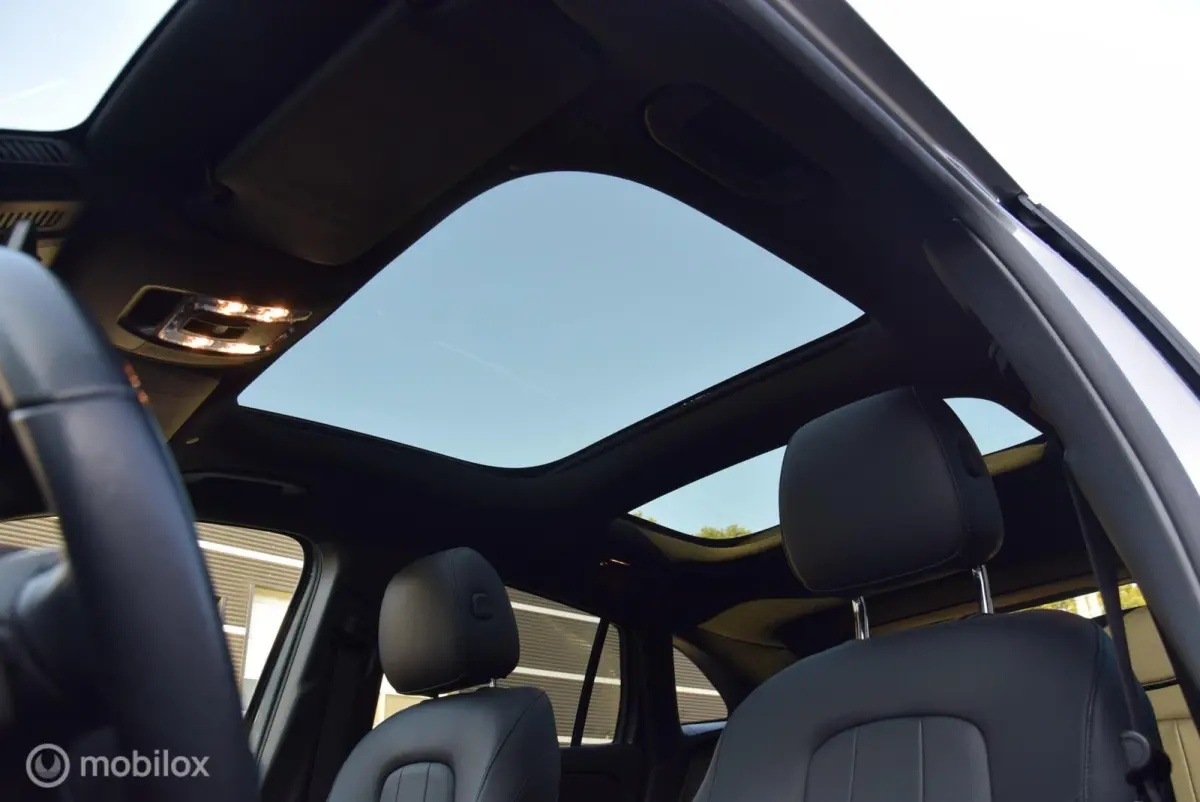 250 Business Solution Luxury 67 kWh SOH 98% Pano Keyless