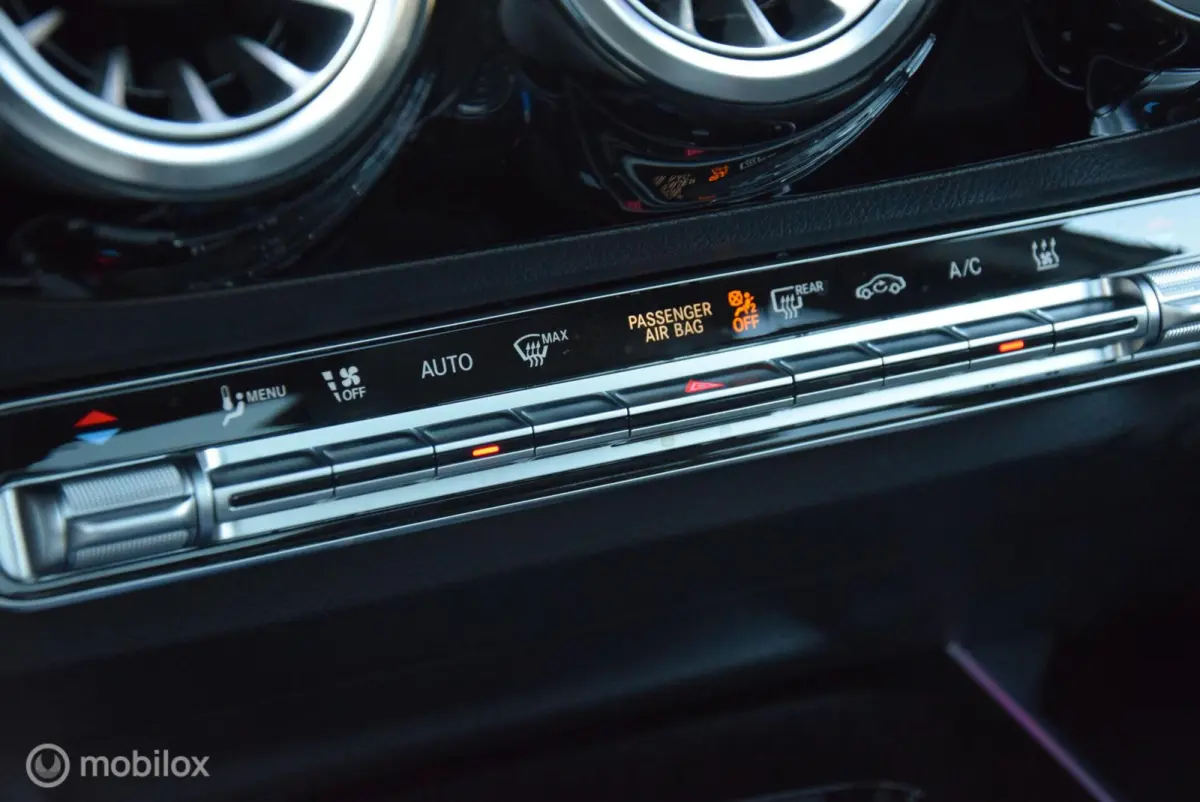 250 Business Solution Luxury 67 kWh SOH 98% Pano Keyless