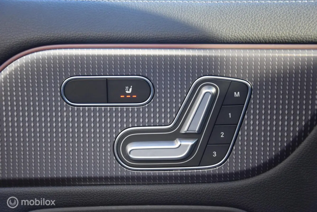 250 Business Solution Luxury 67 kWh SOH 98% Pano Keyless