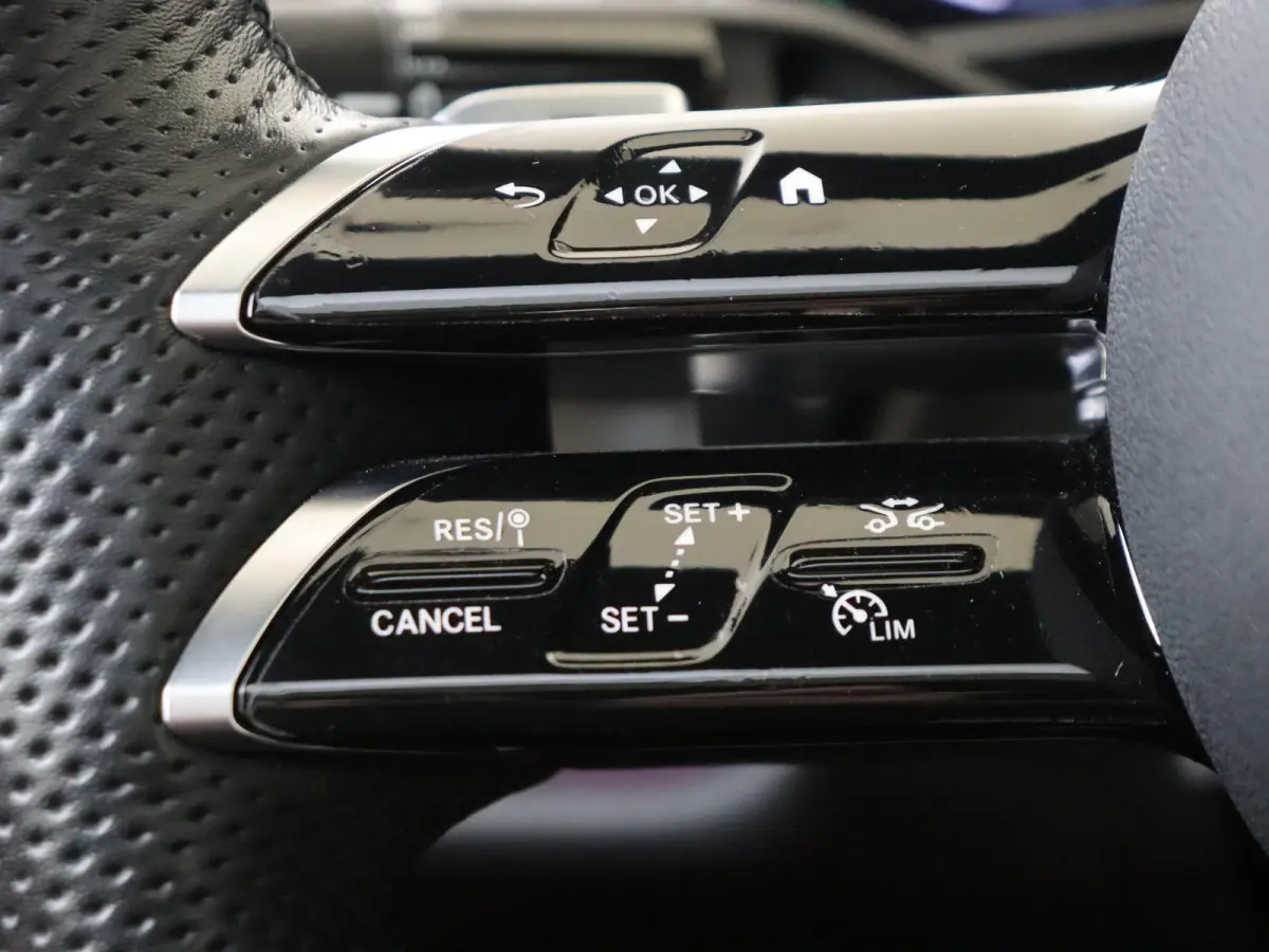 300 e Sport Edition Panoramadak / Rijassistentiepakket / 360 camera / Sluitbekrachtiging