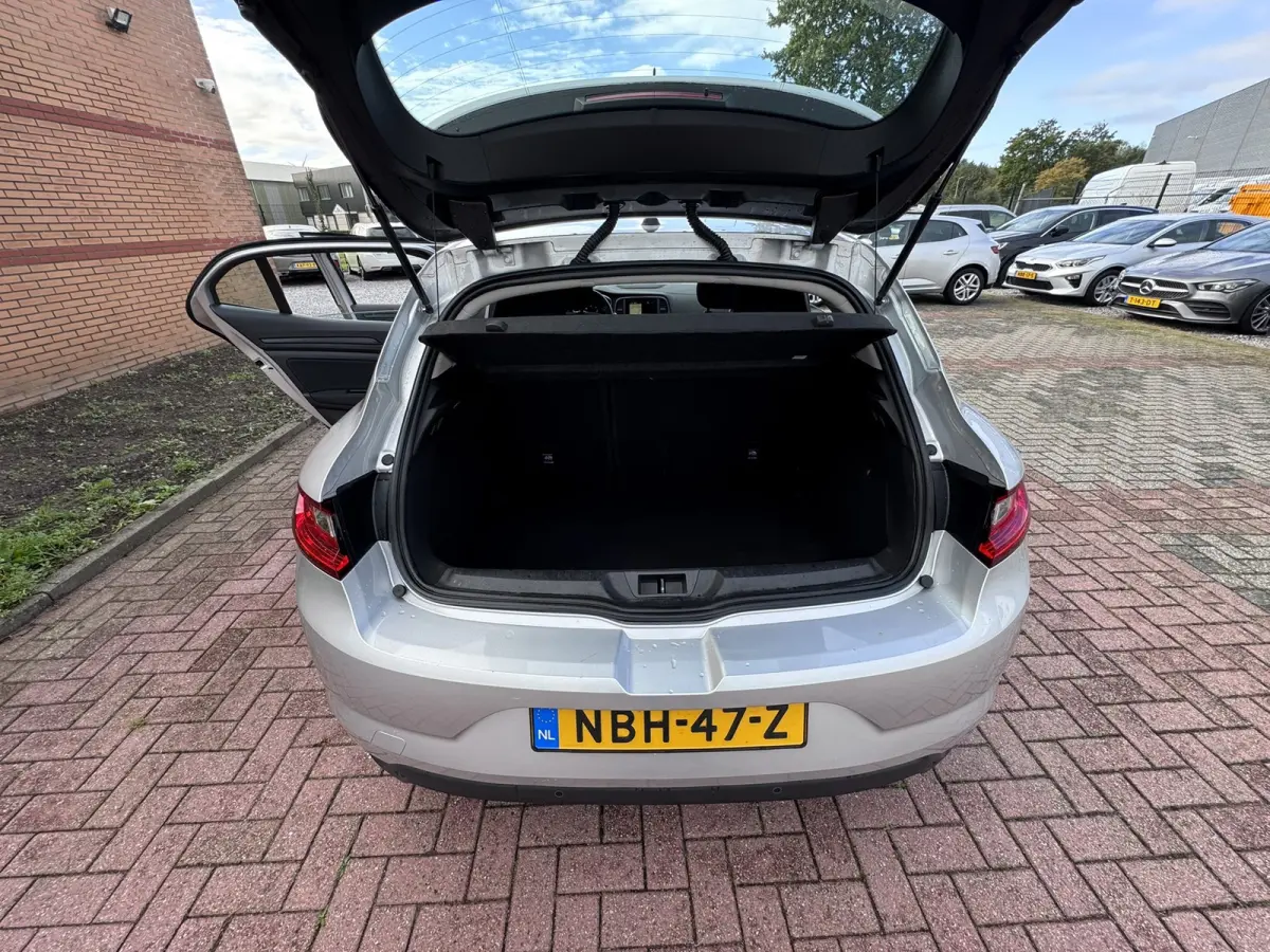 1.5 Blue dCi Business Zen, Marge, Euro 6, Apple Carplay