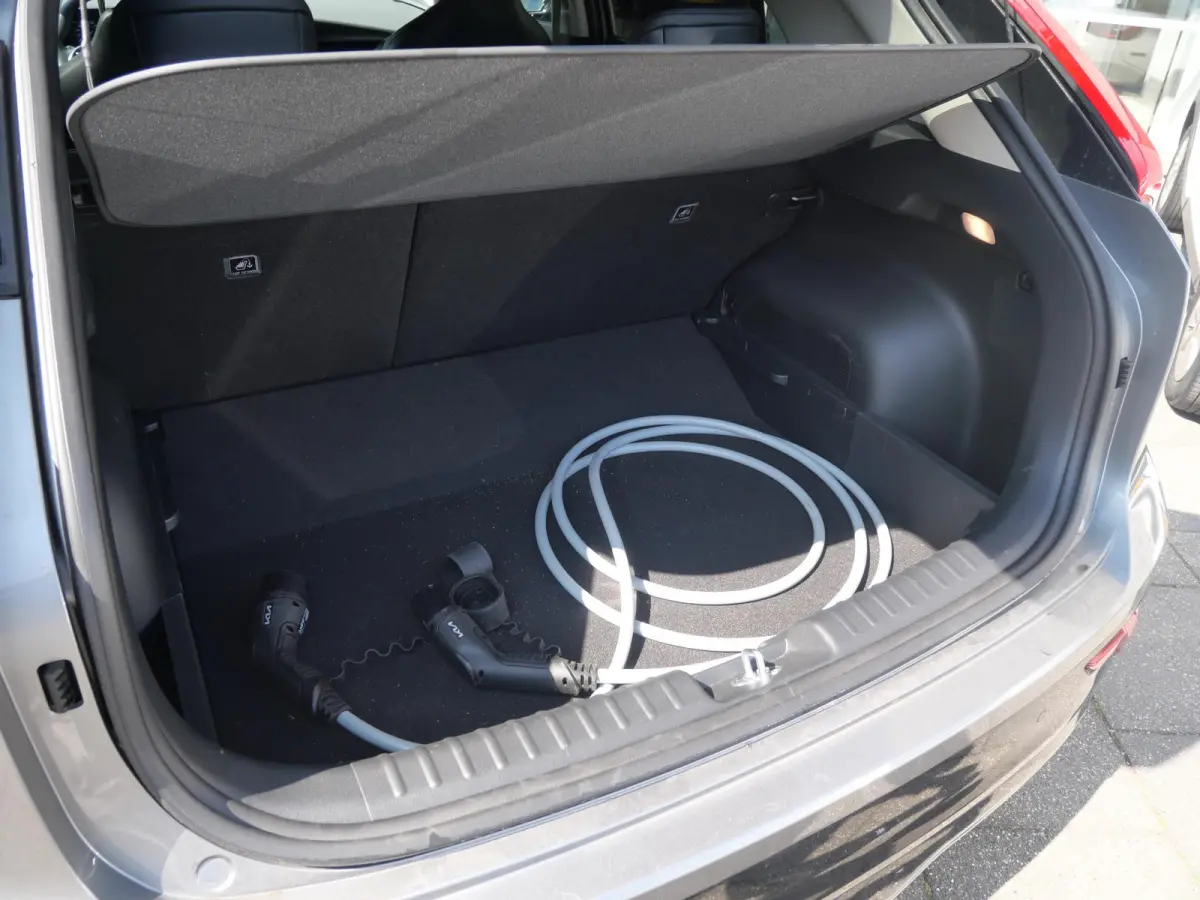 Air 64.8 kWh | Stoel/Stuur verwarming | Dode Hoek | Cruise Adaptief |
