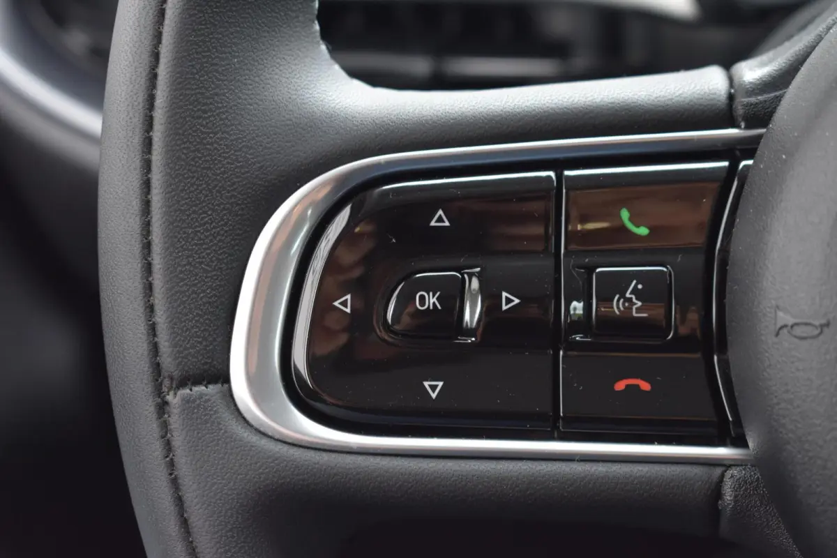 Icon 42 kWh | Carplay | 16'' LMV | 11.900 KM |