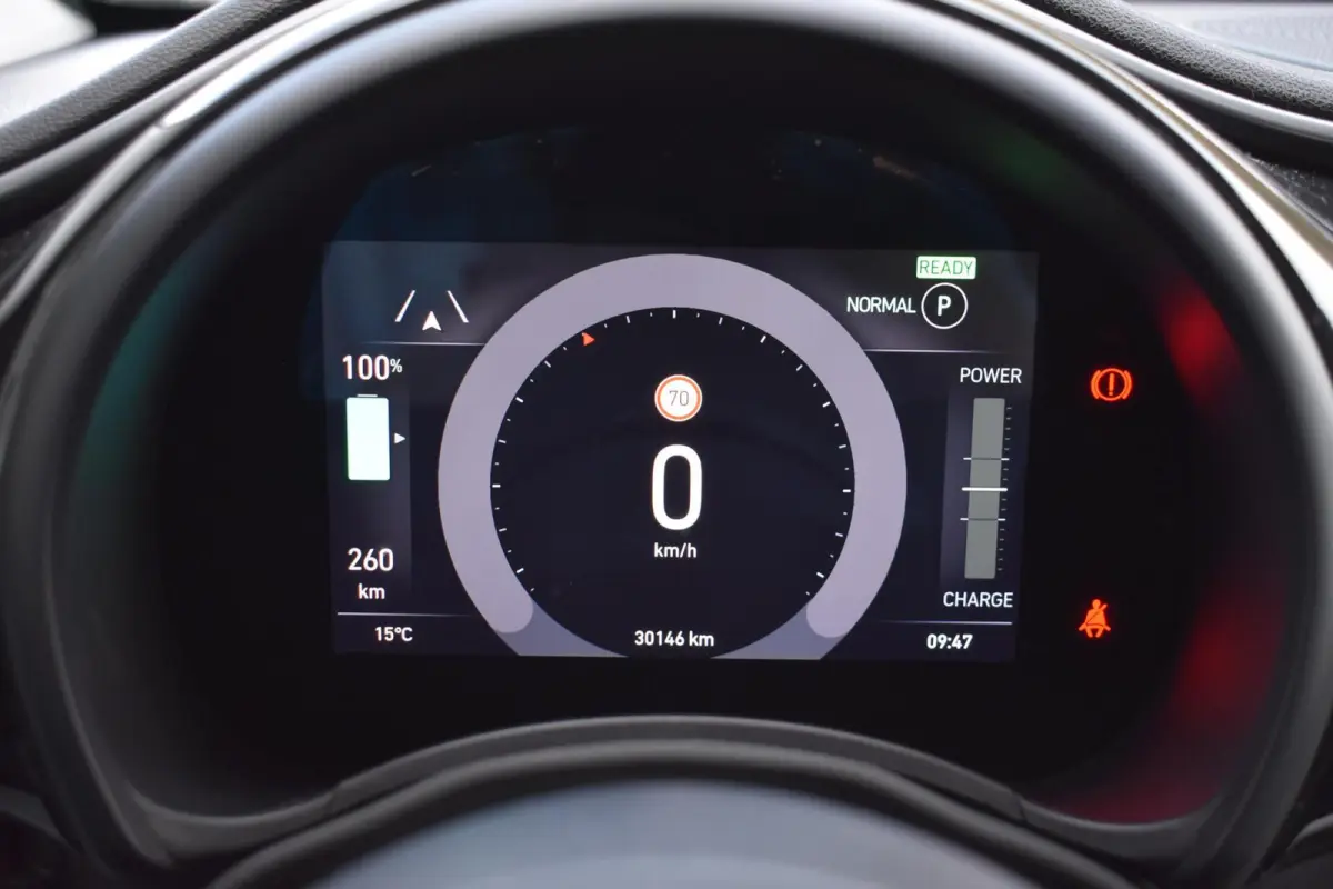 Icon 42 kWh | Carplay | 16'' LMV | 95% SOH |