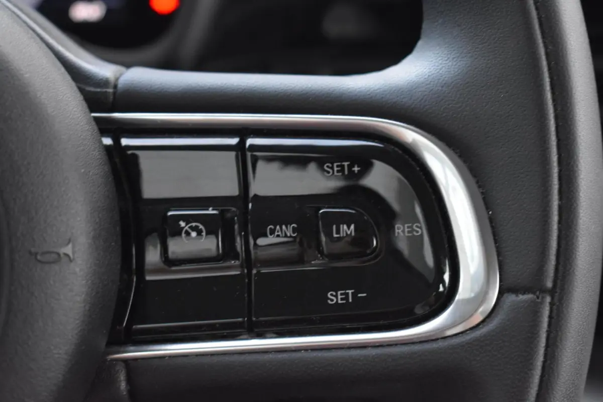 Icon 42 kWh | Carplay | 16'' LMV | 95% SOH |