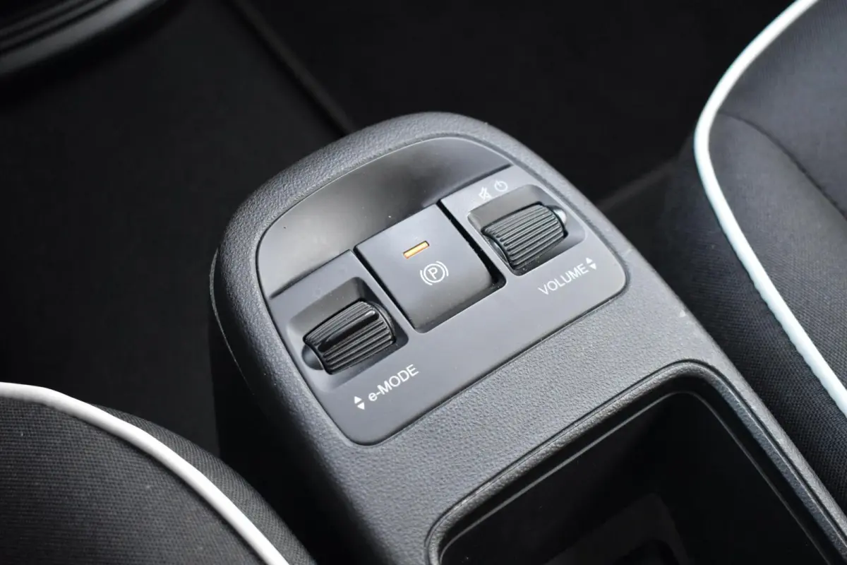 Icon 42 kWh | Carplay | 16'' LMV | 95% SOH |
