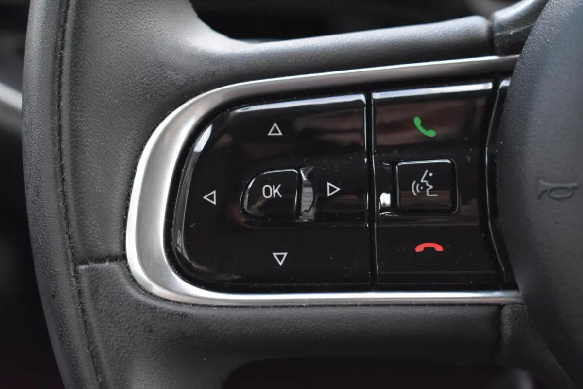 Icon 42 kWh | Carplay | 16'' LMV | 95% SOH |