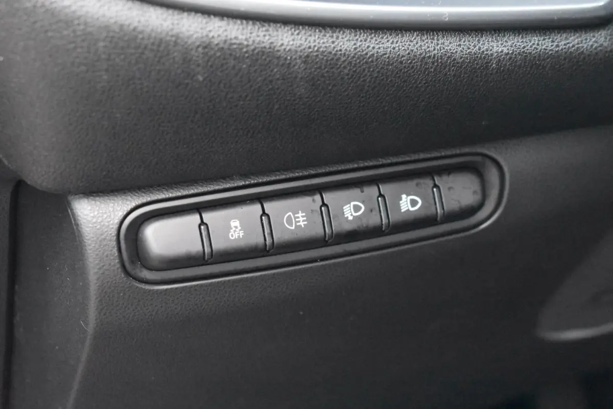 Icon 42 kWh | Carplay | 16'' LMV | 95% SOH |