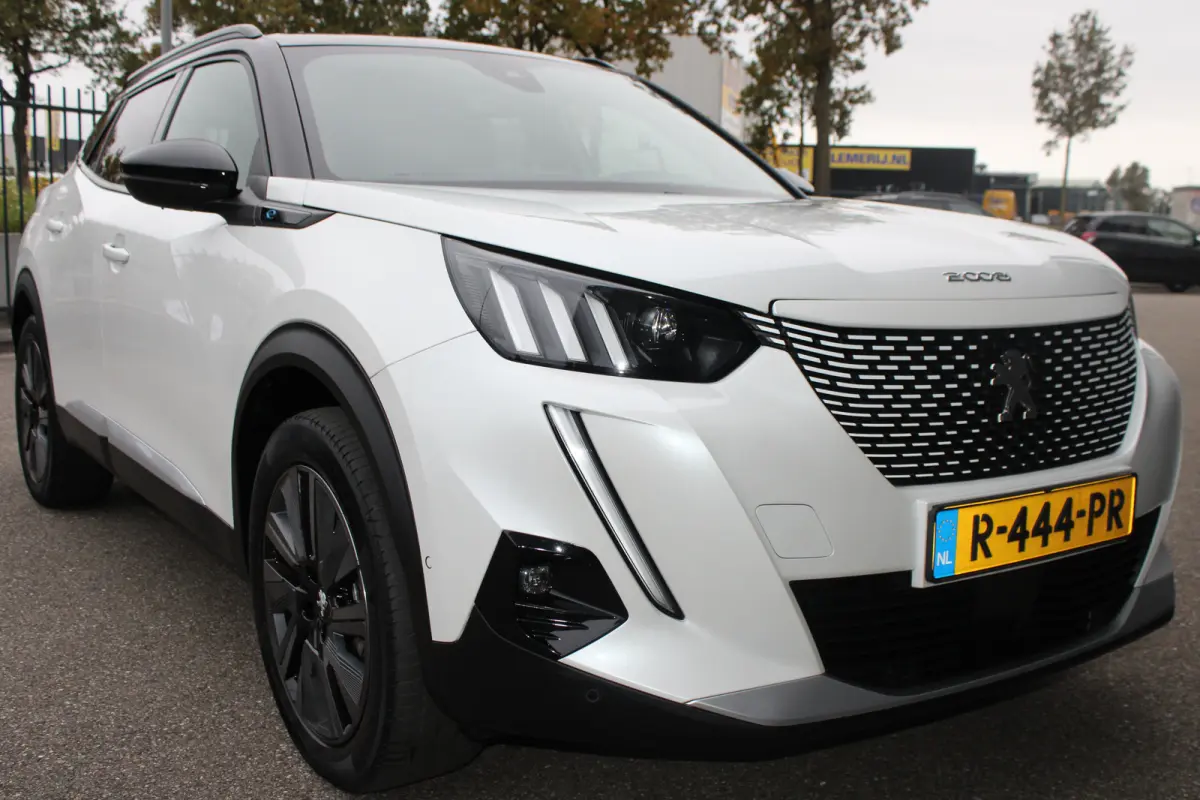 EV GT Pack 50 kWh | Fase 3 laden | SOH 93,38% | Panorama/schuifdak | Stoelverwarming | Navigatie | Camera | NL auto |