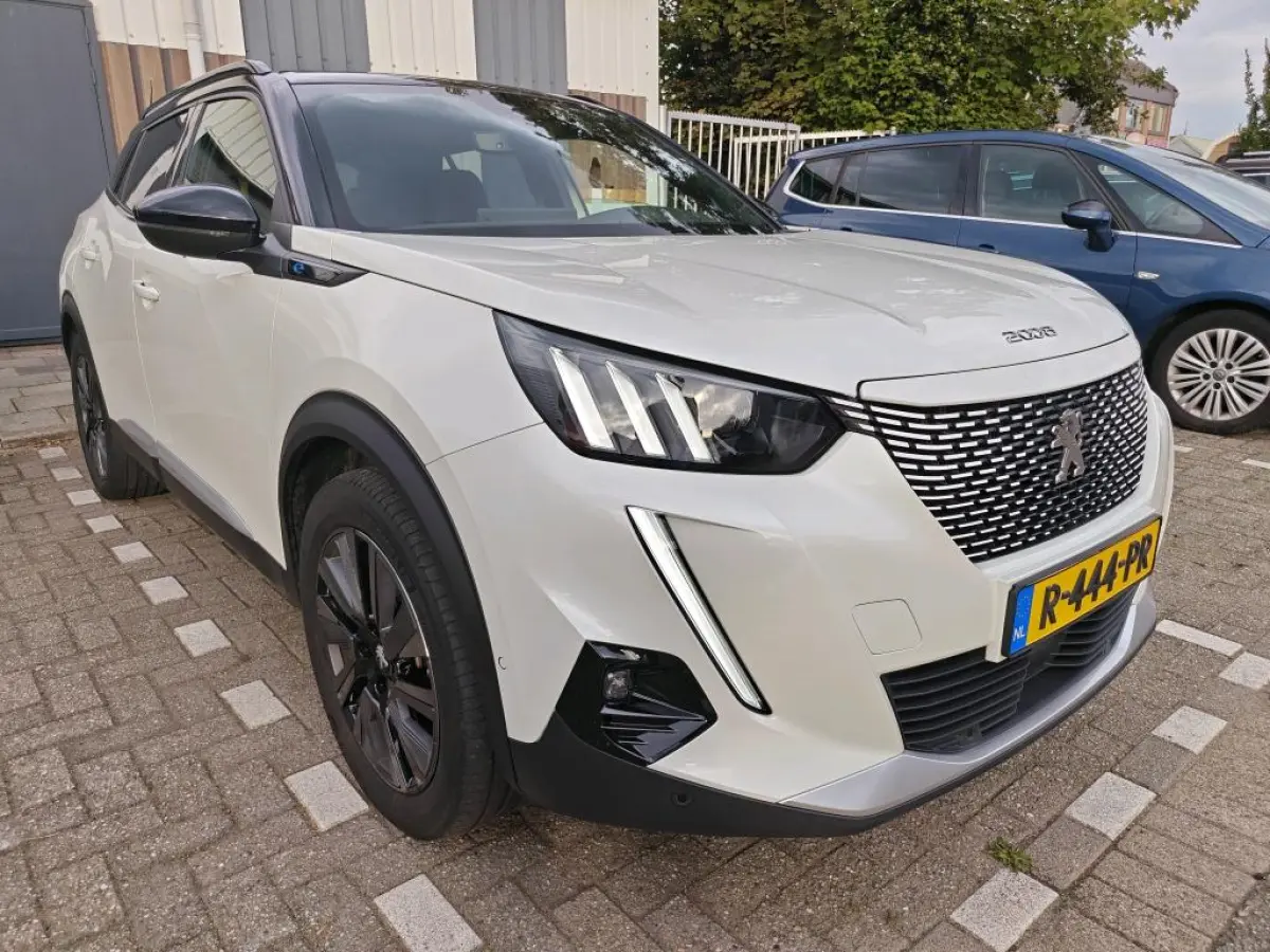 EV GT Pack 50 kWh | Fase 3 laden | SOH 93,38% | Panorama/schuifdak | Stoelverwarming | Navigatie | Camera | NL auto |